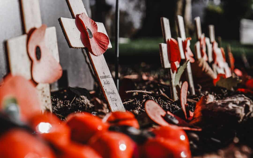 The Poppy Appeal