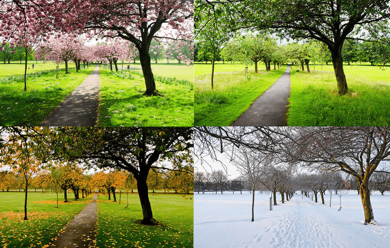 Seasonal Changes: How They Impact Seniors